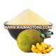 100% FREEZE DRIED JACKFRUIT POWDER