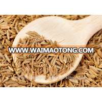 Indian Cumin Seeds, 99% Pure Cumin Seeds