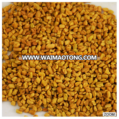 Indian Fenugreek Seeds