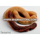 Tamarind