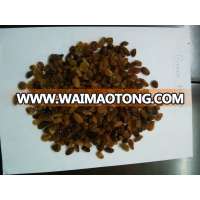 Raisins (Malayer)