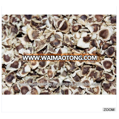 Moringa Oleifera seeds