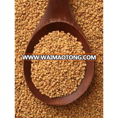 Fenugreek Seeds