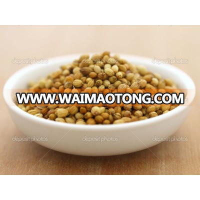 Coriander Seeds