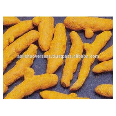 Turmeric Whole (Curcuma longa)