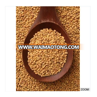 Fenugreek Seeds