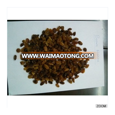 Raisins (Malayer)