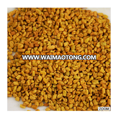 Indian Fenugreek Seeds