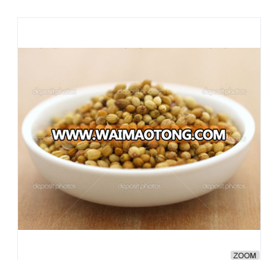 Coriander Seeds