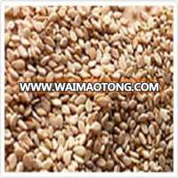 brown sesame seeds