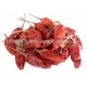 dried red chilli