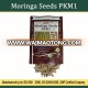 Organic Certified Moringa Seeds