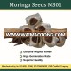 Organic Moringa Plant Seeds