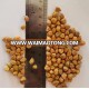 High Quality Desi Chickpeas ( Cicer Arietinum)